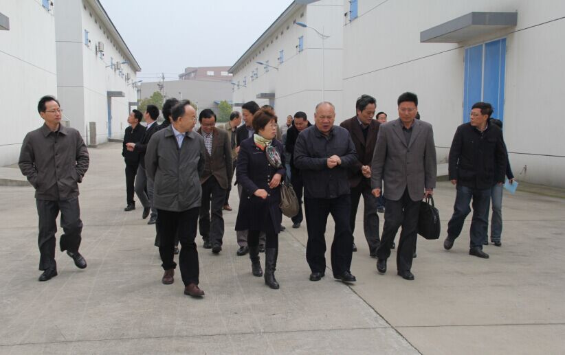 ʡ�˴�ί����ӛ��μɽ�W�R��?gu��)셢�^ָ��